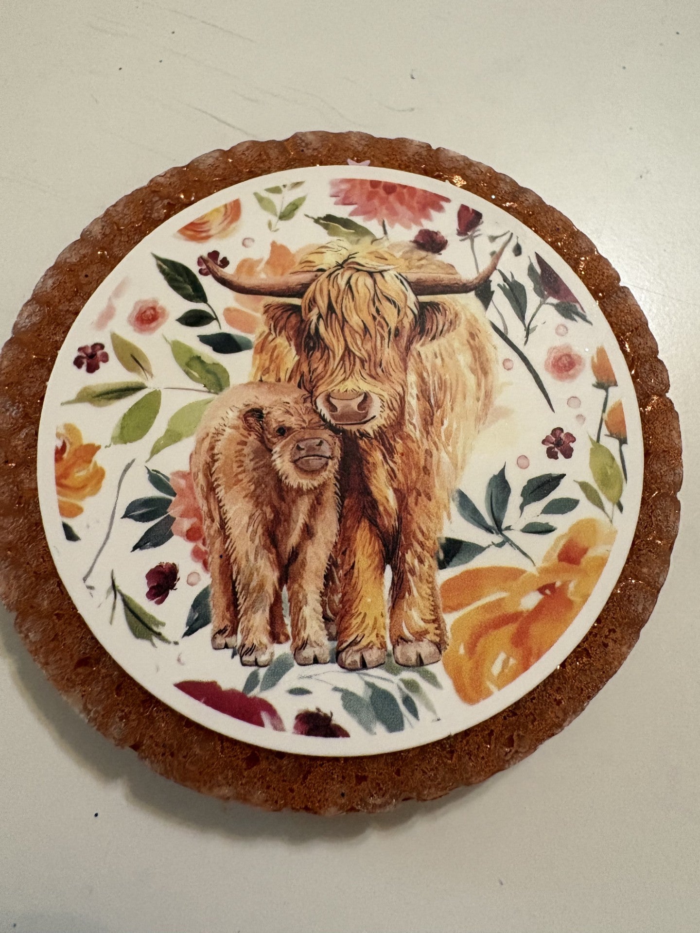 Highland Cow Mama & Baby